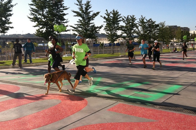 Dogs were welcome at the Prevent Cancer 5k. Photo: Julie Tarallo