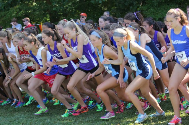 Local cross country teams were in action throughout the region last weeknd, including at the Monroe Parker Invitational, where Chantilly's Xaveria Hawvermale (with orange shoes) staked her claim to be mentioned among contenders for the Virginia 6A individual title. Photo: Ed Lull