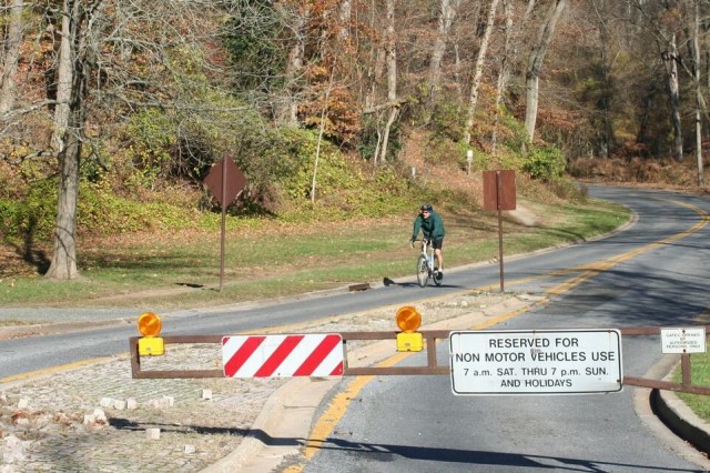 Beach Drive, looking north from Broad Branch Road. Photo: Charlie Ban