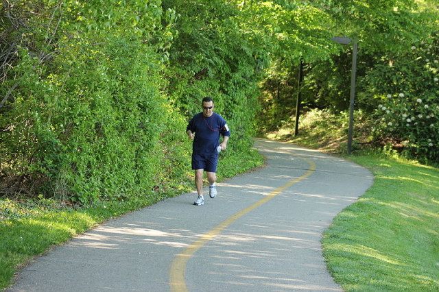 Mount Vernon Trail. Photo: Wikimedia Commons