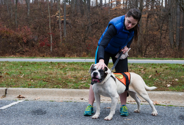 Humane Society Dog Walking 12-12-15-2132