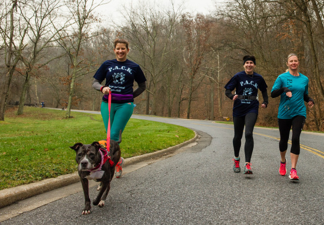 Humane Society Dog Walking 12-12-15-2186