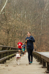 Humane Society Dog Walking 12-12-15-2231