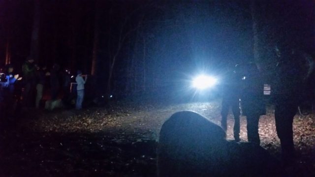 The campsite at night. Photo: